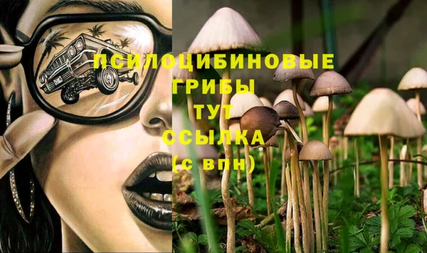 mdma Зерноград
