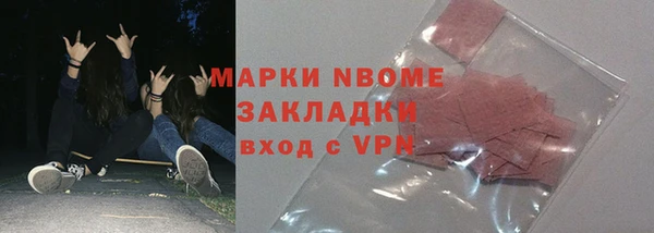 сатива Инта