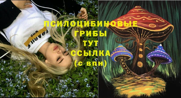 ешки Зеленокумск