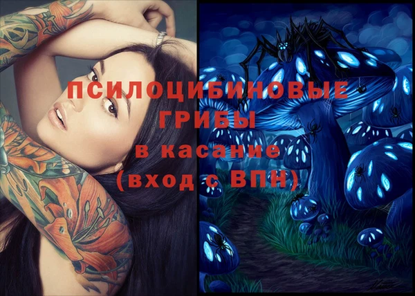 ешки Зеленокумск