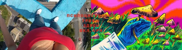 ешки Зеленокумск